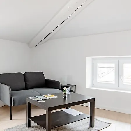 Appartement Cosy Hyper Centre Climatisation Saint-Etienne (Loire)